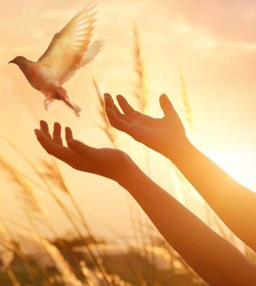 THE FOURTH STAGE OF SPIRITUAL AWAKENING : FORGIVENESS AND ACCEPTANCE​